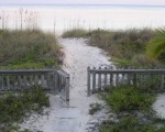 Before the hurricane